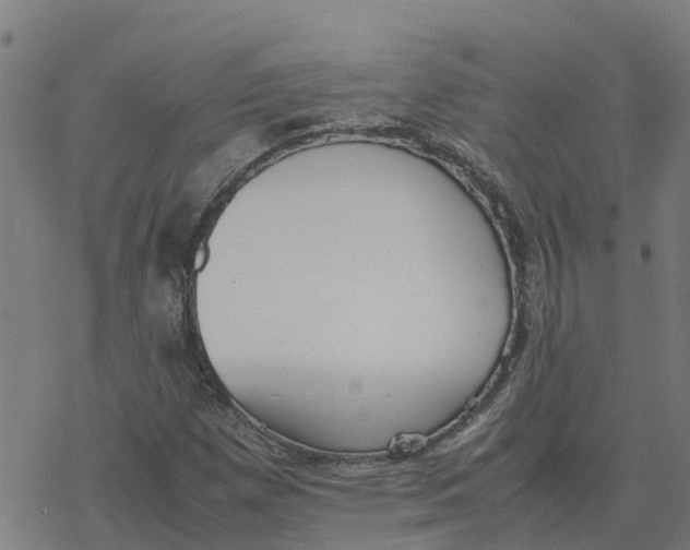 X0000077281257200611101309