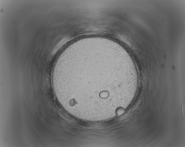 X0000077281259200611101309