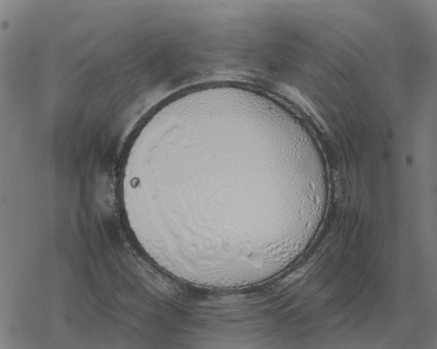 X0000077281260200611101309