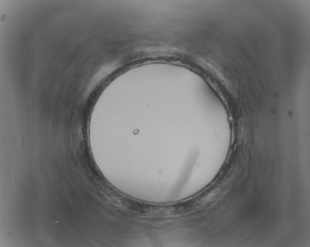 X0000077281261200611101309