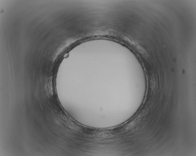 X0000077281262200611101309