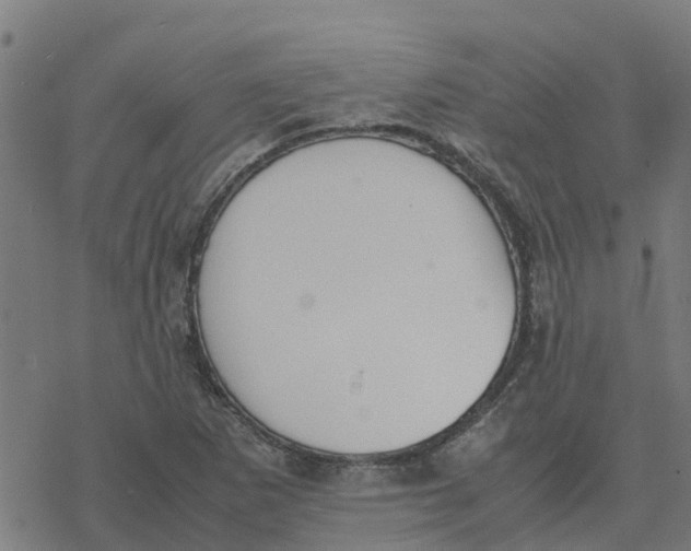 X0000077281265200611101309