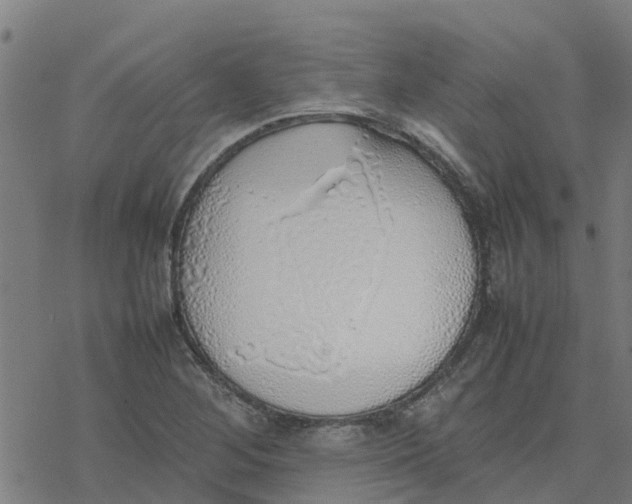 X0000077281268200611101309