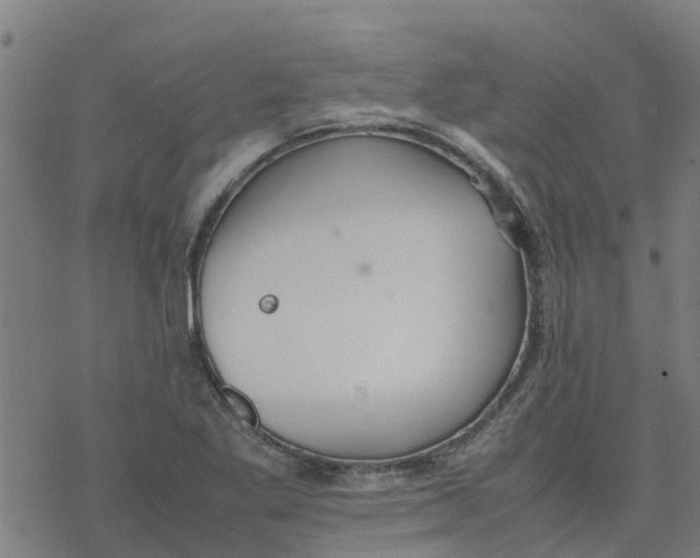 X0000077281269200611101309