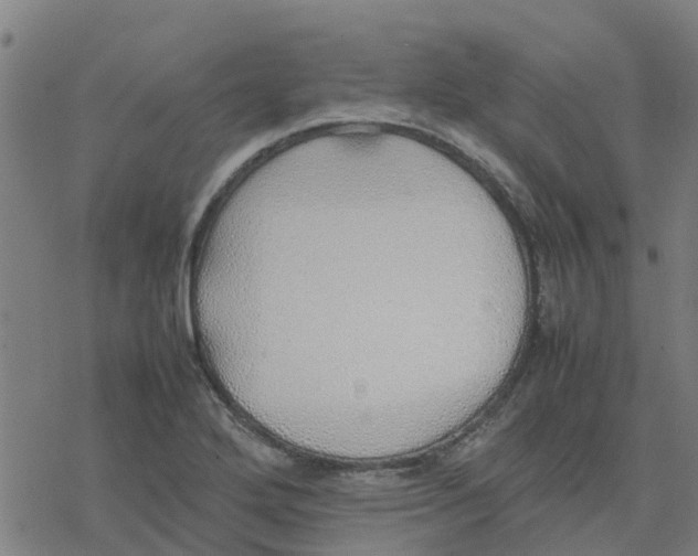 X0000077281272200611101309