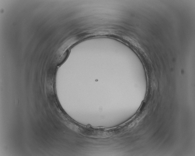 X0000077281273200611101309