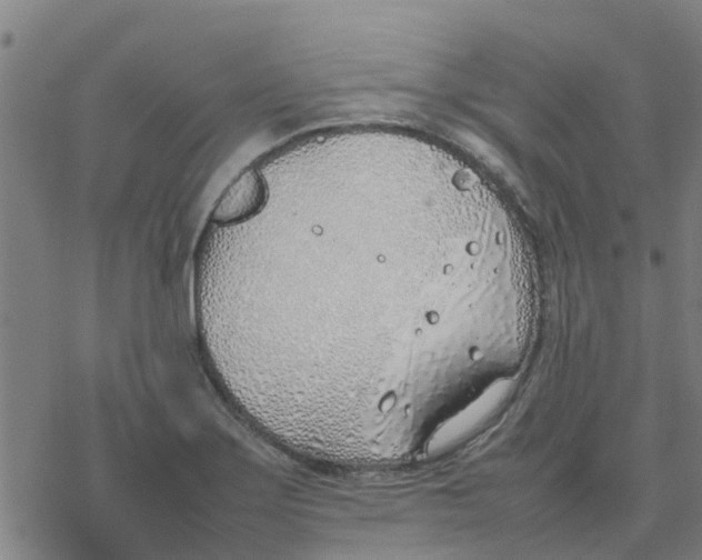 X0000077281275200611101309