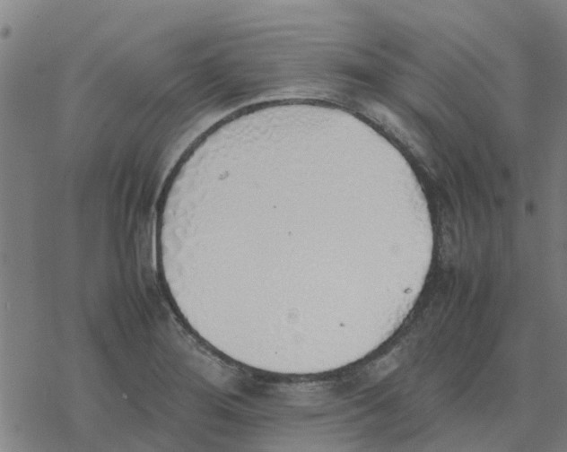 X0000077281276200611101309