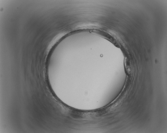 X0000077281277200611101309