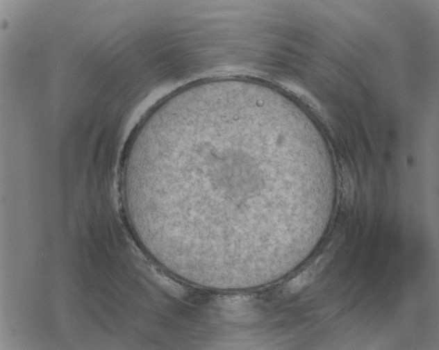 X0000077281278200611101308