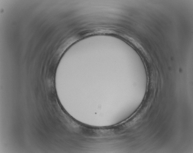 X0000077281281200611101308