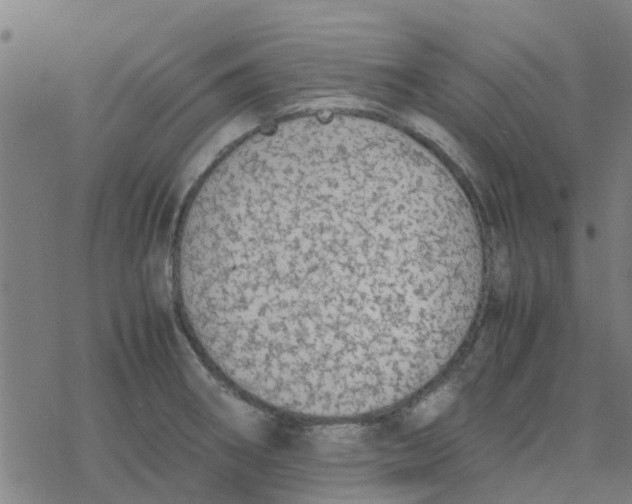 X0000077281282200611101308