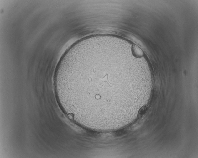 X0000077281283200611101308