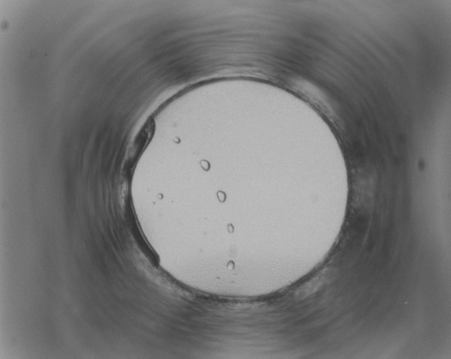 X0000077281284200611101308