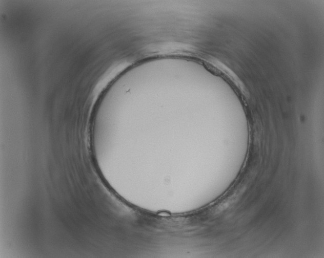 X0000077281285200611101308