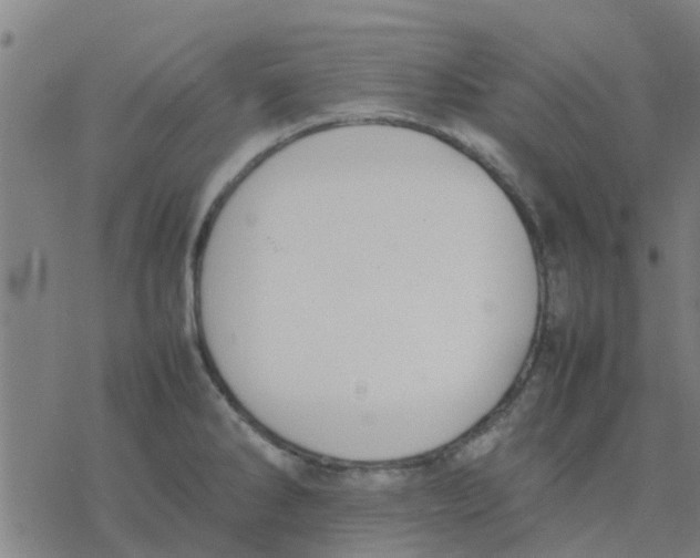 X0000077281286200611101308