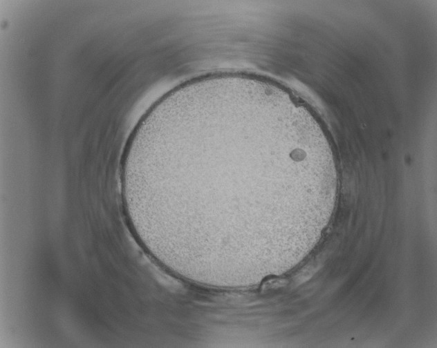 X0000077281287200611101308