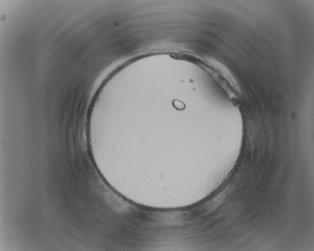 X0000077281288200611101308