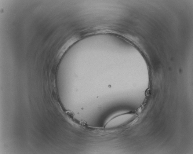 X0000077281289200611101308