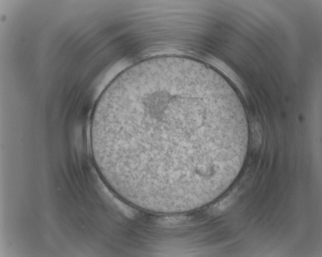 X0000077281290200611101308