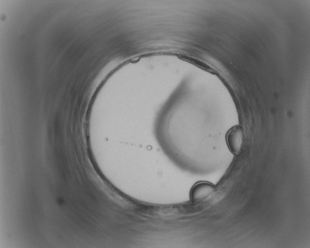 X0000077281291200611101308