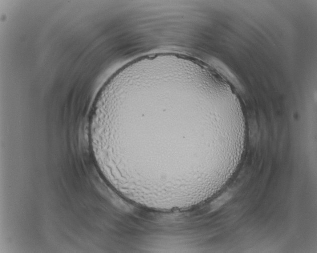 X0000077281292200611101308