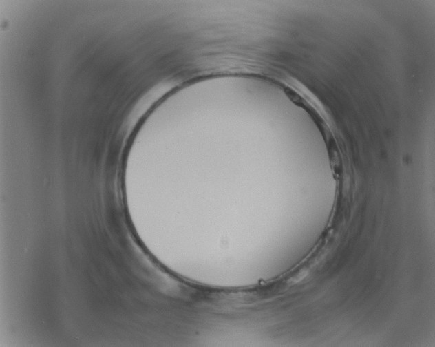 X0000077281293200611101308