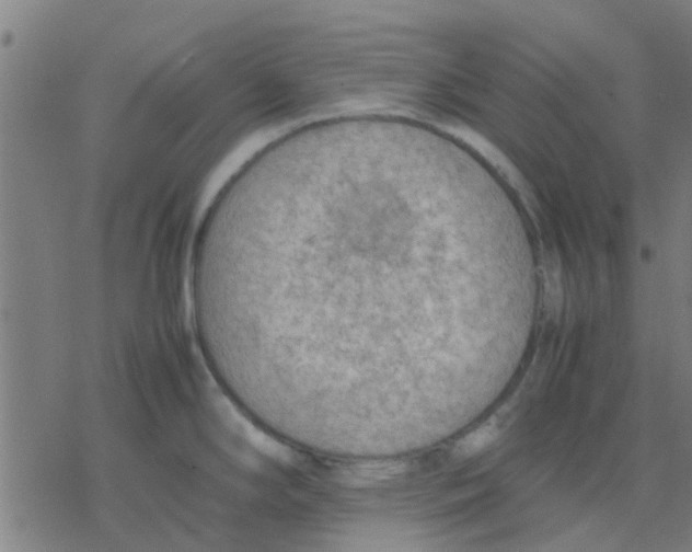 X0000077281294200611101308