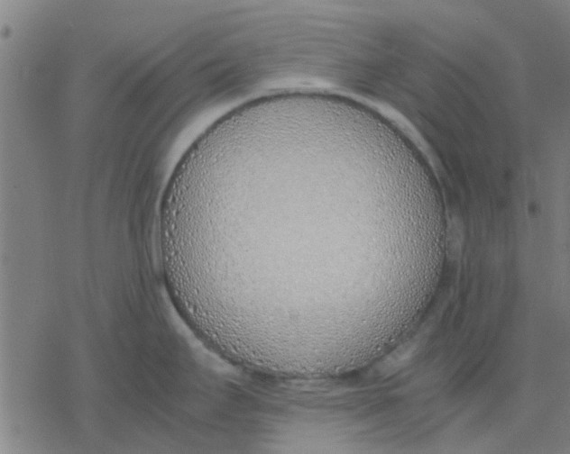 X0000077281295200611101308