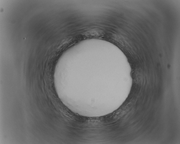 X0000077281297200611101307