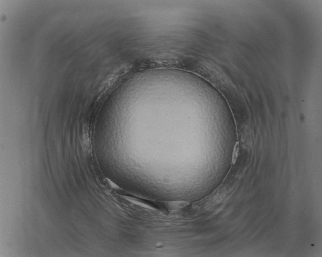 X0000077281298200611101307