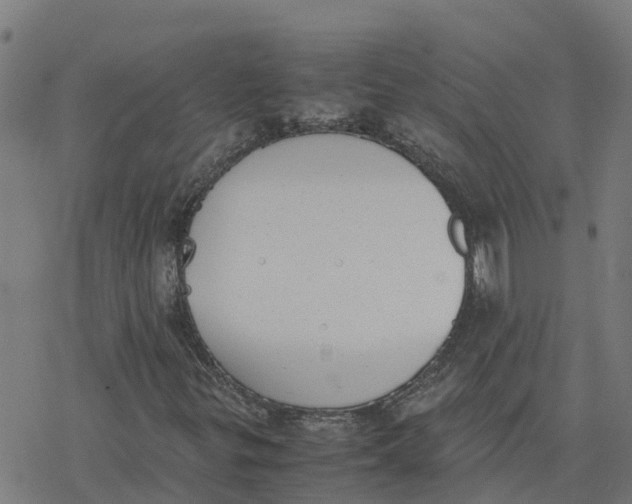 X0000077281299200611101307