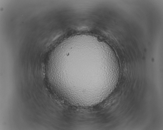 X0000077281301200611101307