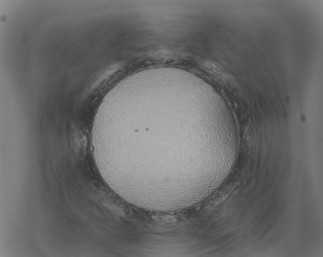 X0000077281302200611101308