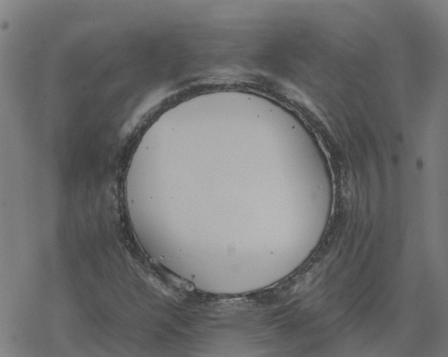 X0000077281304200611101308