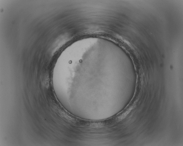 X0000077281306200611101308