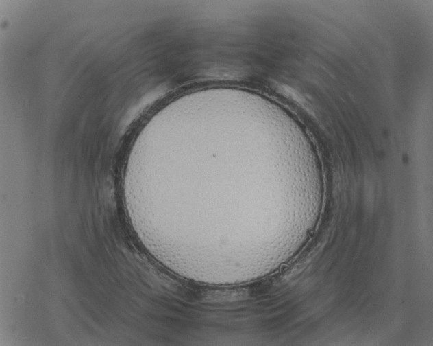 X0000077281307200611101308