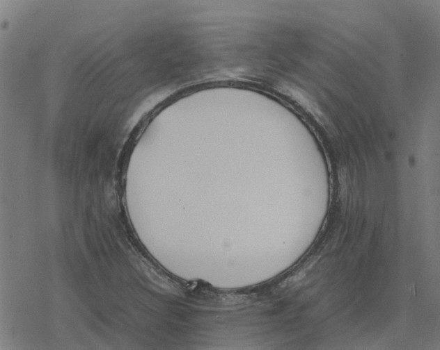 X0000077281308200611101308