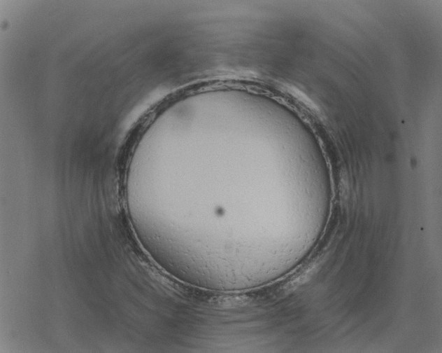 X0000077281310200611101308