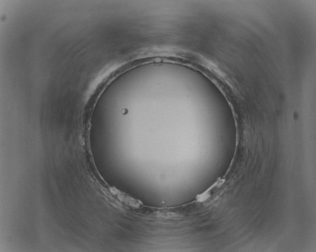 X0000077281312200611101308