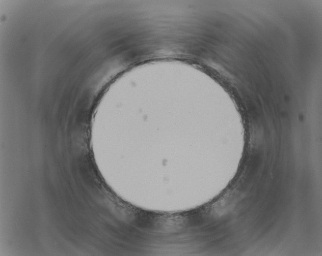 X0000077281314200611101308