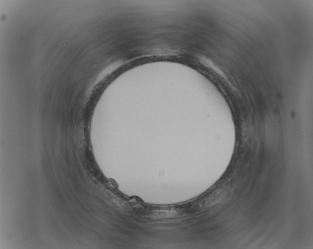 X0000077281315200611101308