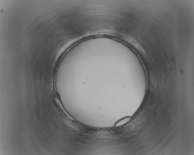 X0000077281316200611101308