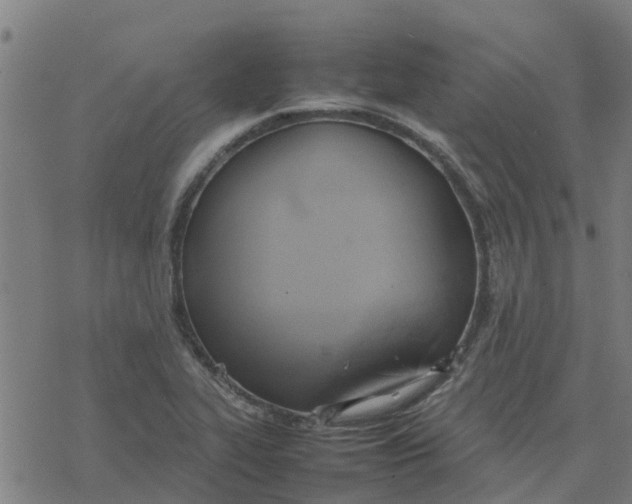 X0000077281319200611101308