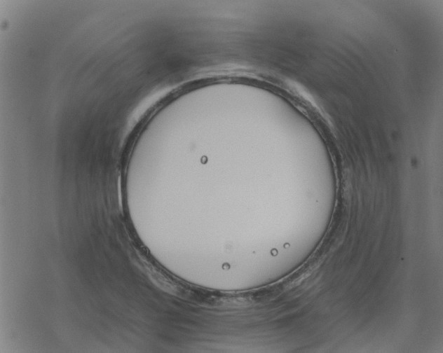 X0000077281320200611101308