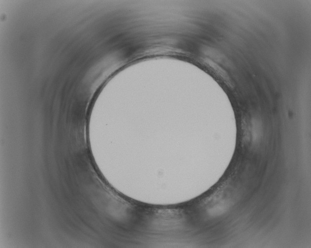 X0000077281322200611101308