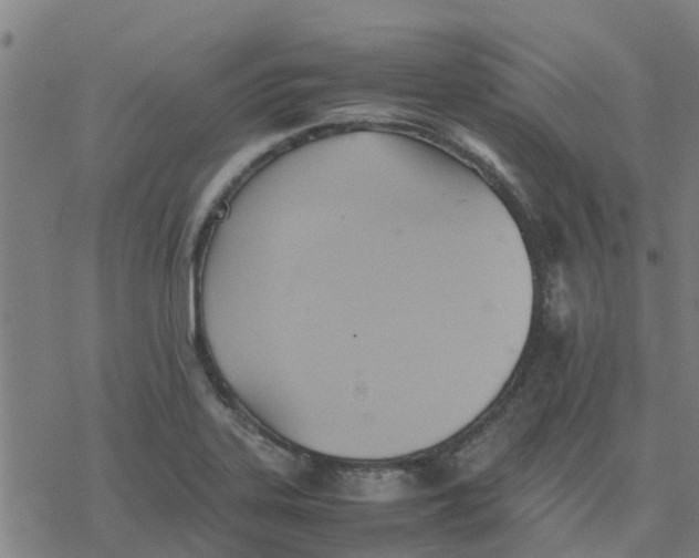 X0000077281323200611101308