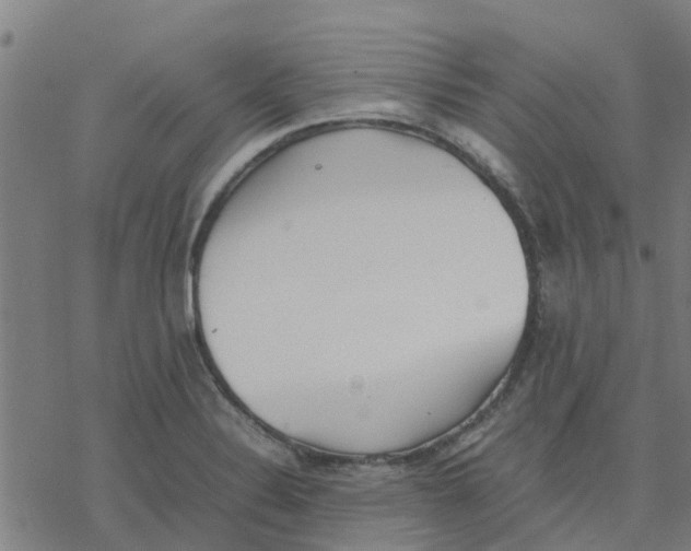 X0000077281324200611101308