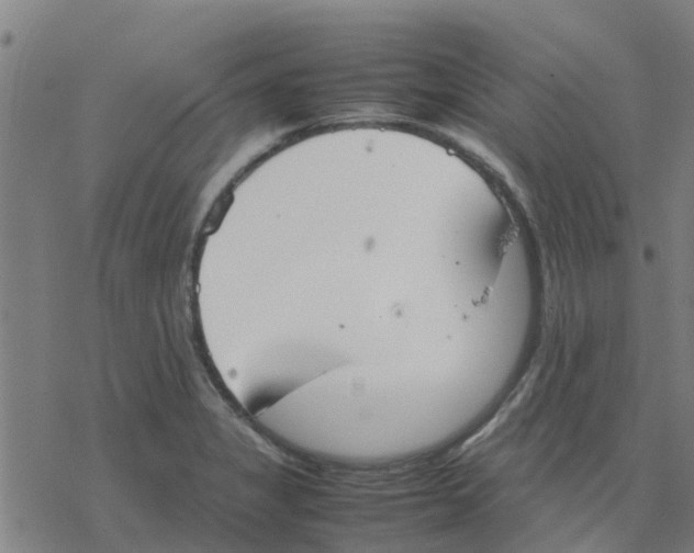 X0000077281325200611101308