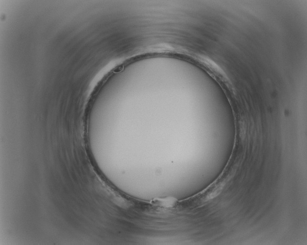 X0000077281326200611101308